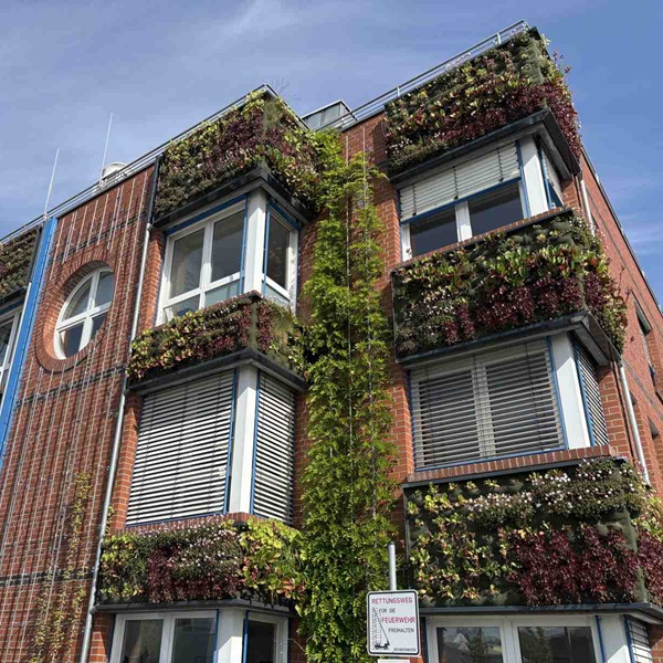 Vorgehängte hinterlüftete Fassade mit Fassadenbegrünung auf Aluverbund an einem Bürogebäude in Korschenbroich