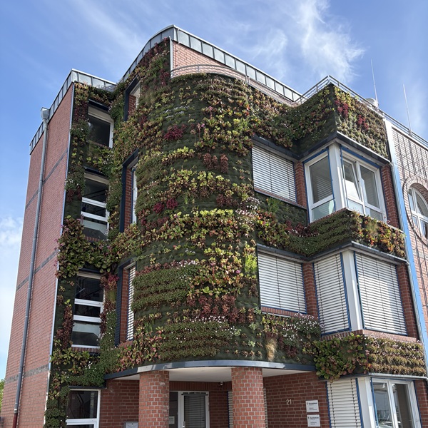 Vorgehängte hinterlüftete Fassade mit Fassadenbegrünung auf Aluverbund an einem Bürogebäude in Korschenbroich